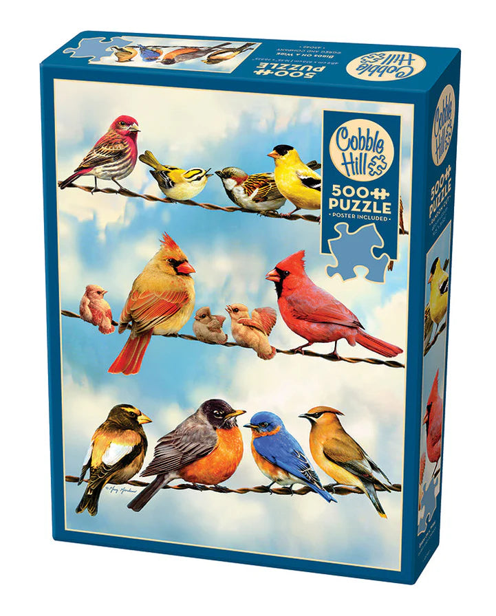 Birds On A Wire Puzzle