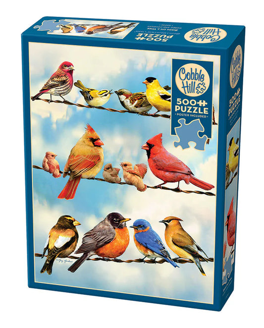 Birds On A Wire Puzzle