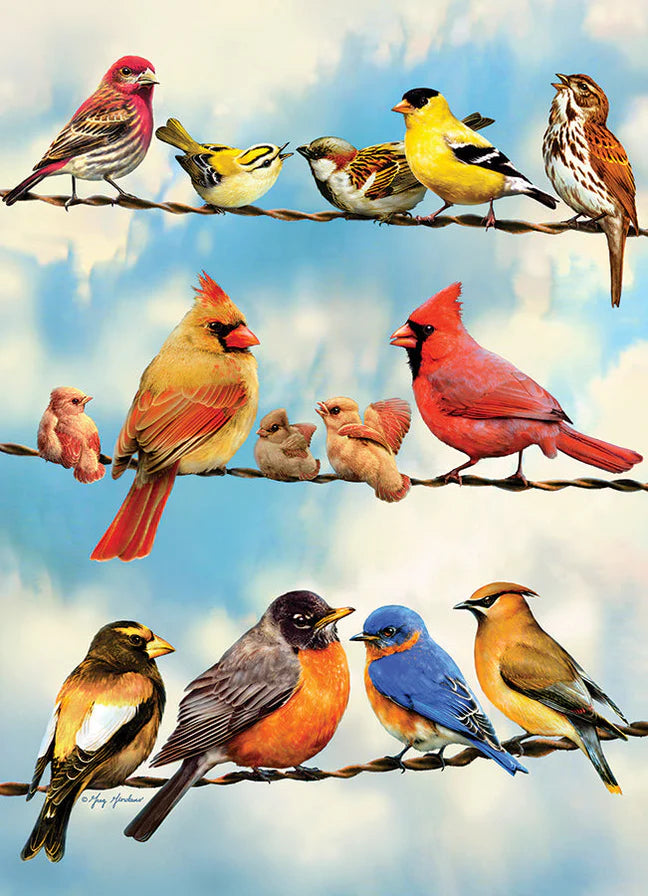 Birds On A Wire Puzzle