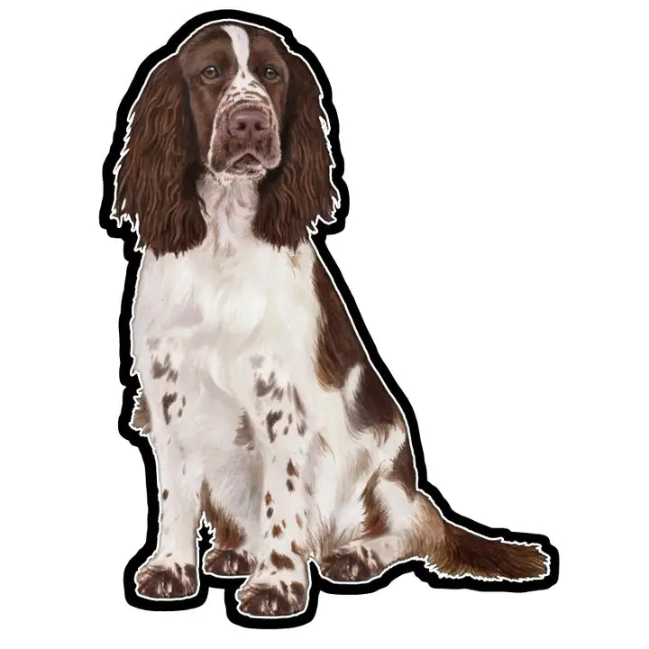 Springer Spaniel | Sticker