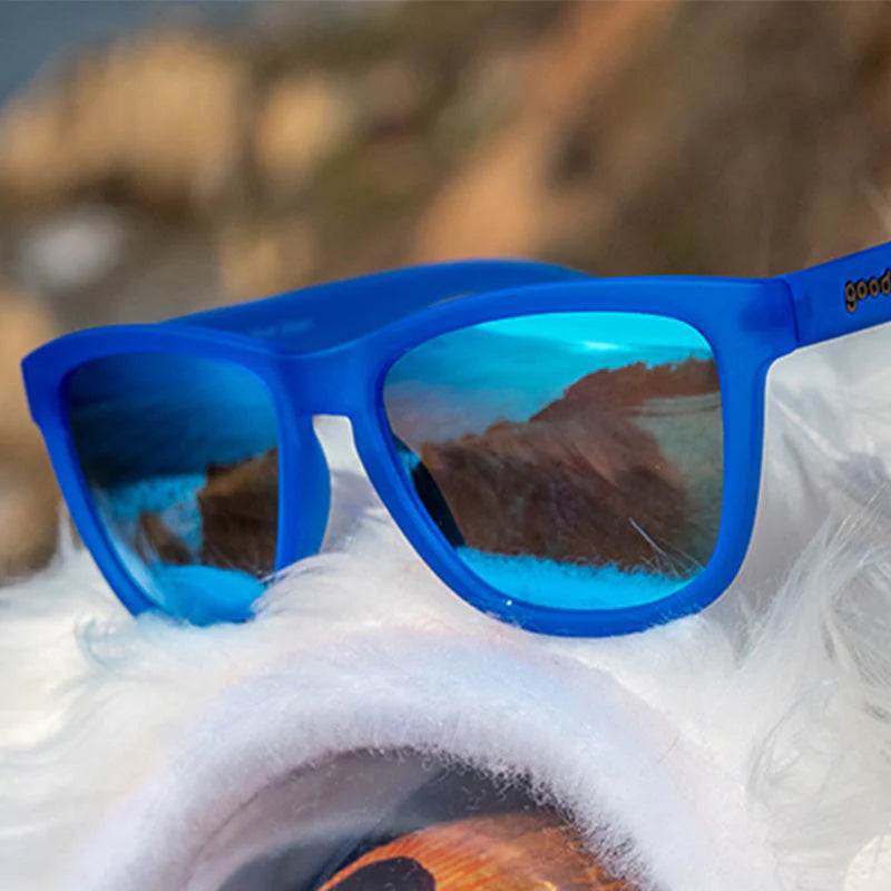 Falkor's Fever Dream Sunglasses