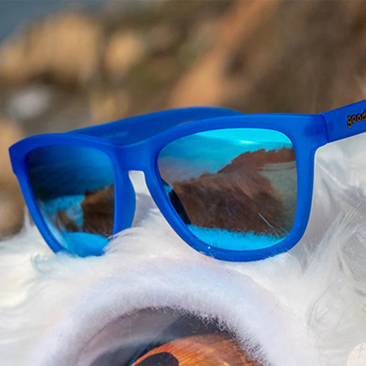 Falkor's Fever Dream Sunglasses