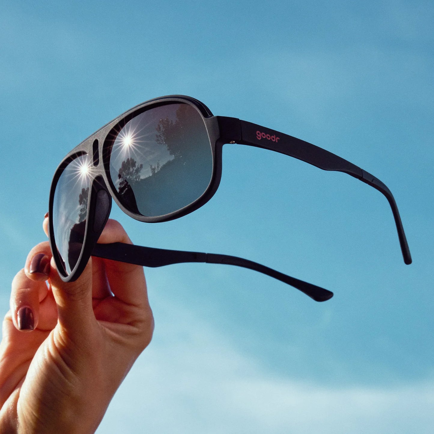 Recently Reincarnated Sunglasses