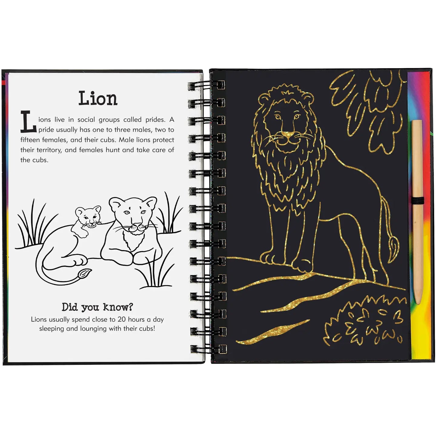 Wild Safari Scratch & Sketch