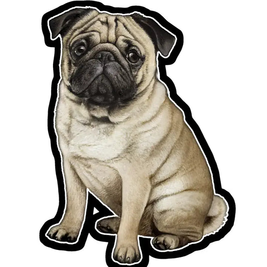 Tan Pug | Sticker