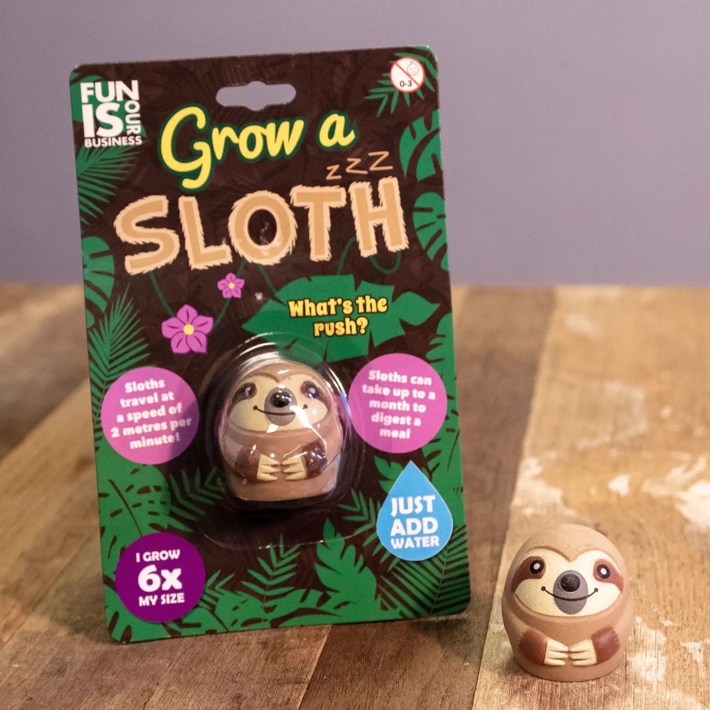 Grow a Sloth Toy