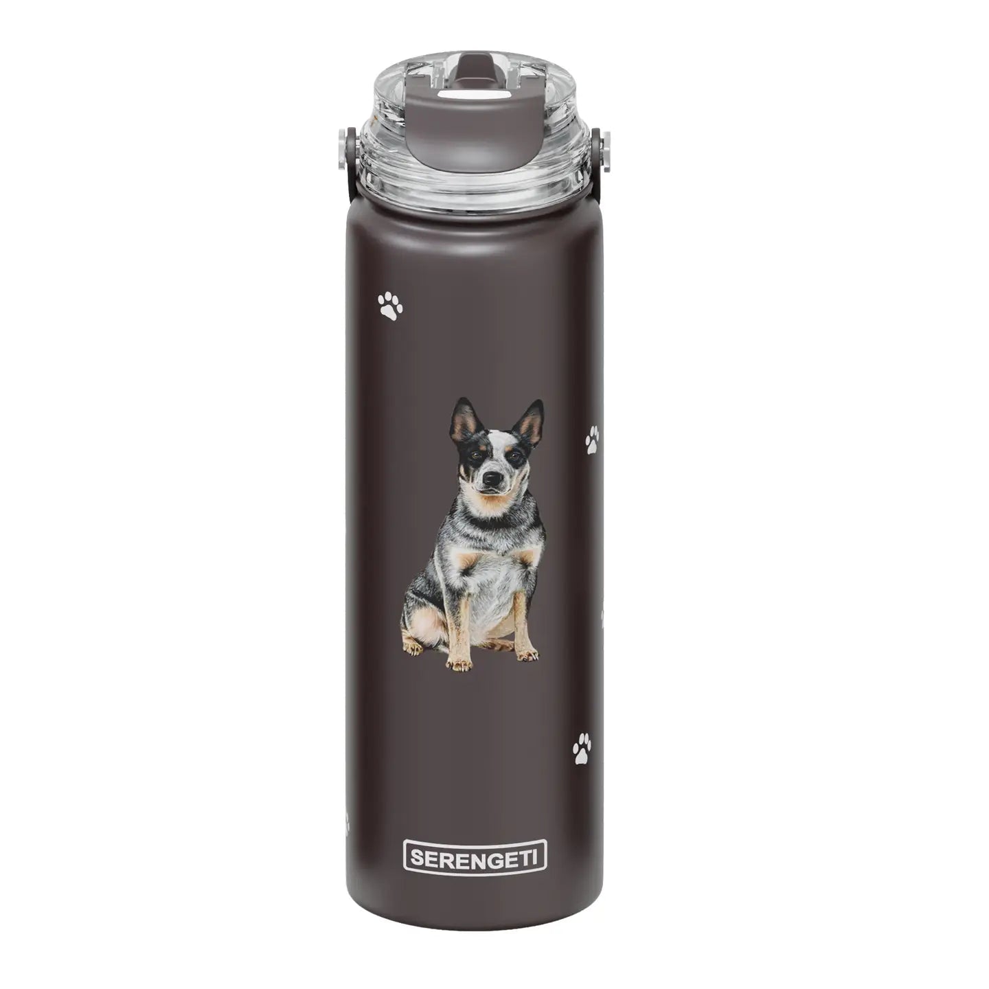 Australian Cattle Dog | Water Bottle