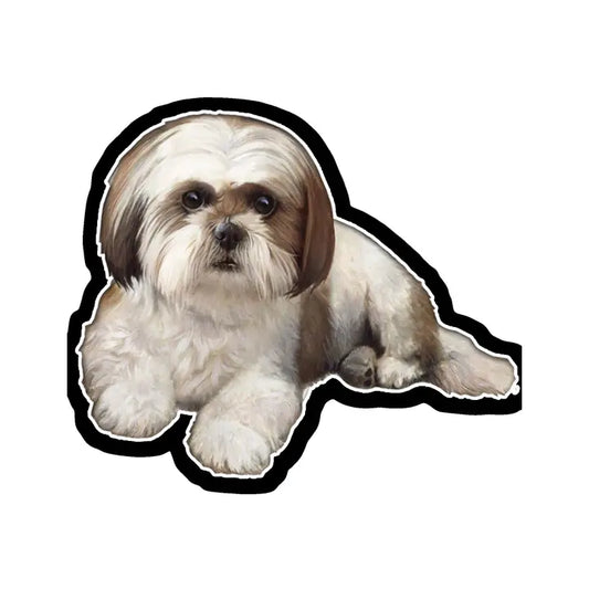 Tan & White Shih Tzu | Sticker