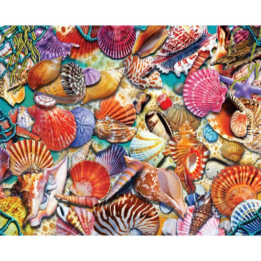 Coastal Shells Puzzle