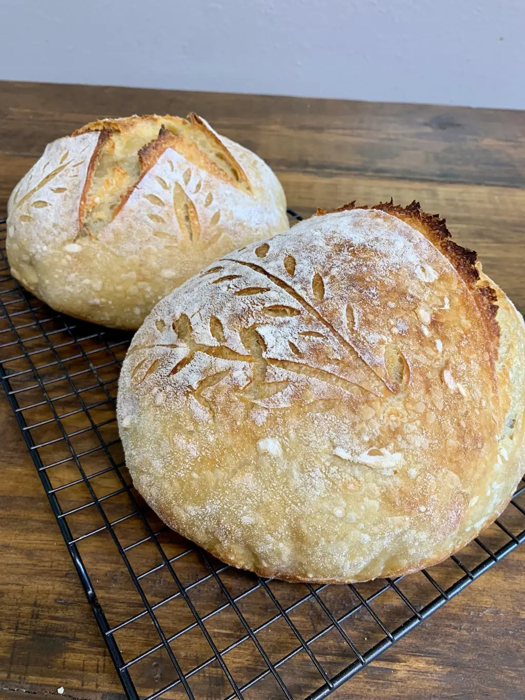 Organic, Non-GMO Sourdough Starter | Freeze Dried |