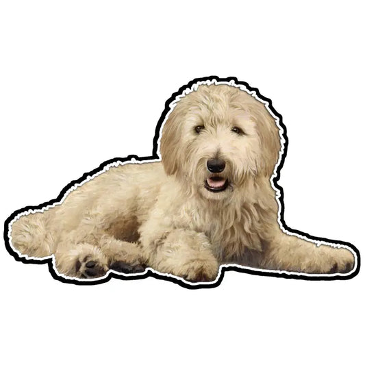 Goldendoodle Laying | Sticker