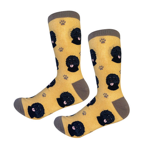 Black Labradoodle Socks