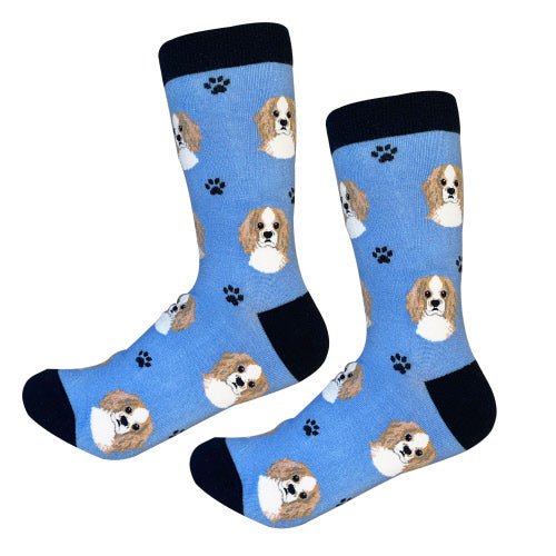 Cavalier King Charles Socks