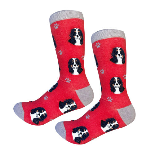 Tri Color Cavalier King Charles Socks