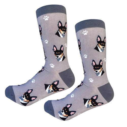 Rat Terrier Socks