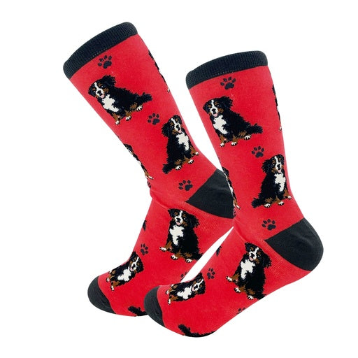 Bernese Mountain Dog Socks