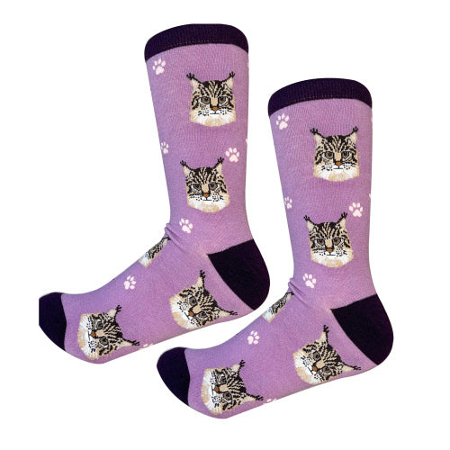 Maine Coon Cat Socks