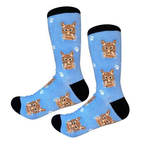 Orange Tabby Cat Socks