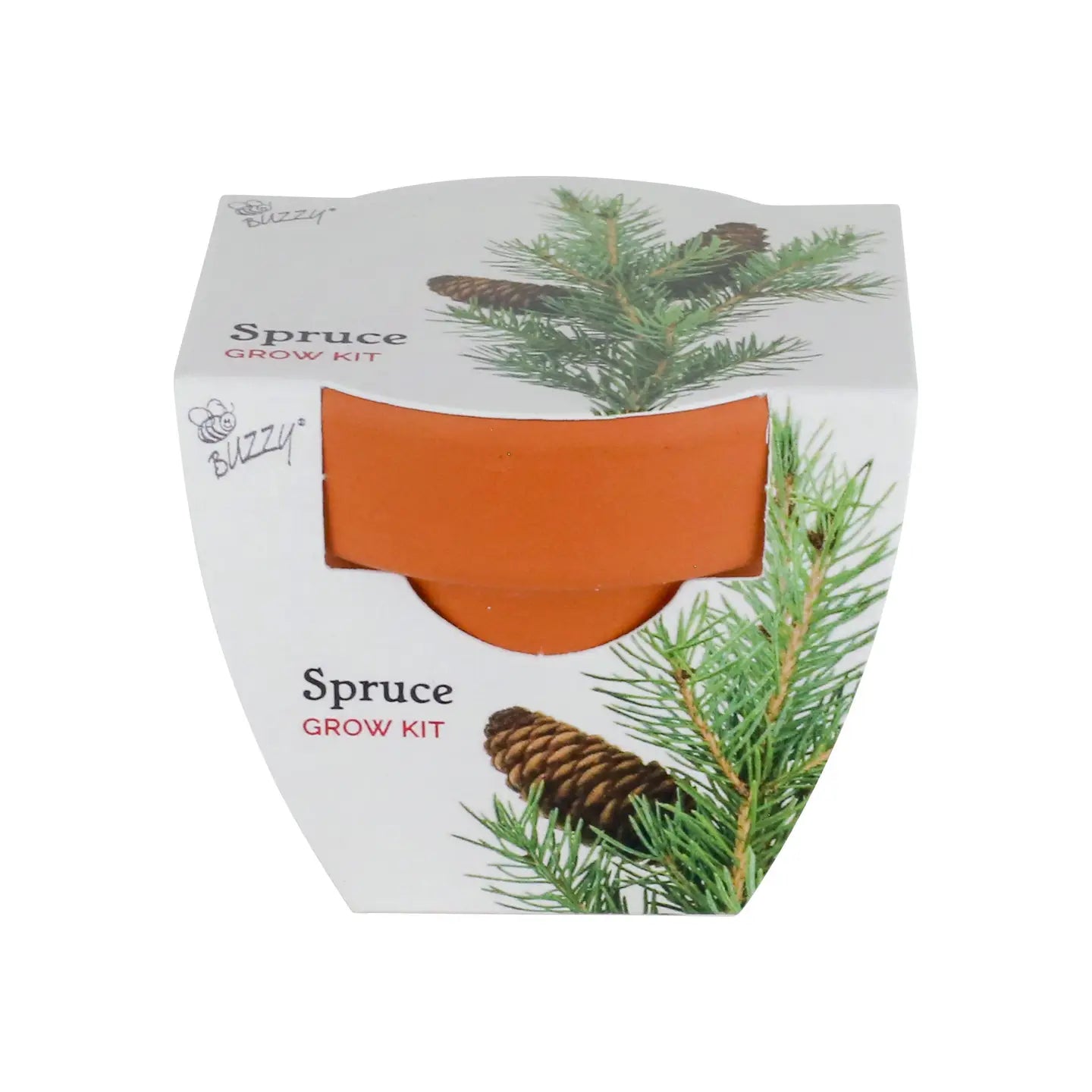 Holiday Mini Grow Pot | Spruce