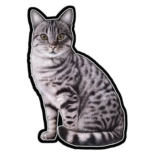 Silver Tabby Cat | Sticker