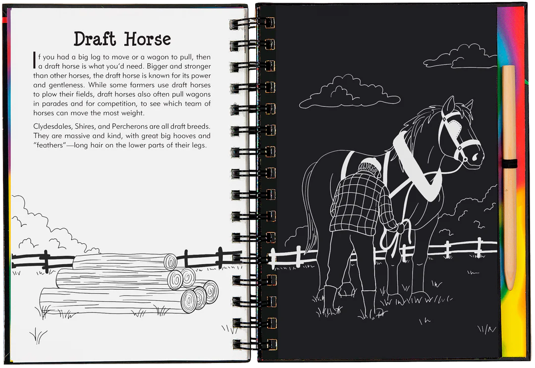 Horses Scratch & Sketch