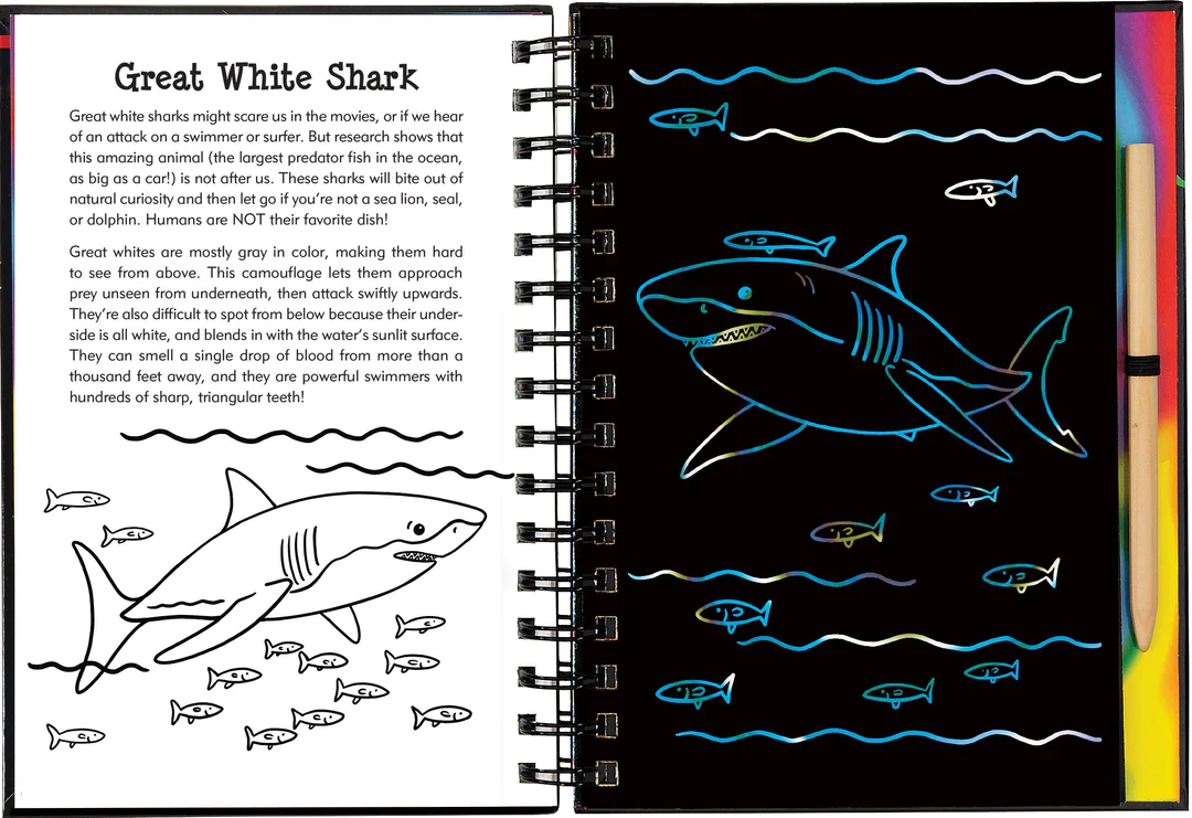 Sharks Scratch & Sketch