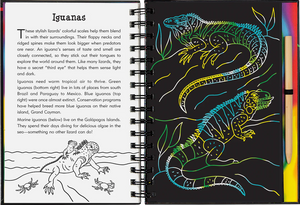 Reptiles & Amphibians Scratch & Sketch
