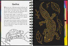 Load image into Gallery viewer, Reptiles &amp; Amphibians Scratch &amp; Sketch
