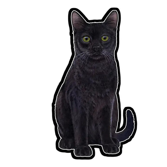 Black Cat | Sticker