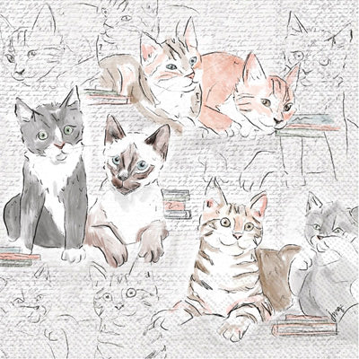 Library Cats Cocktail Napkin Set