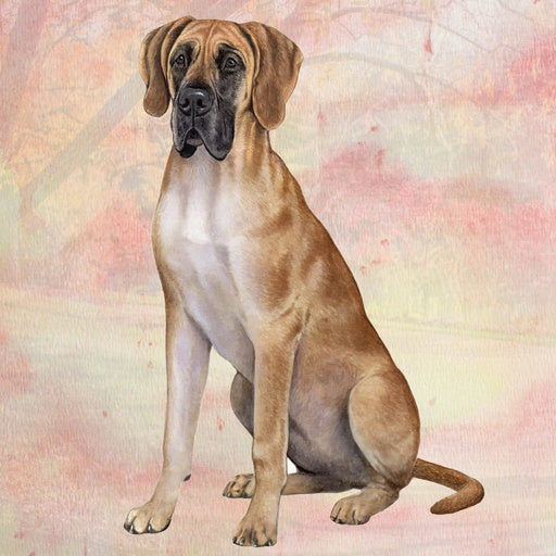 Tan Great Dane | Coaster