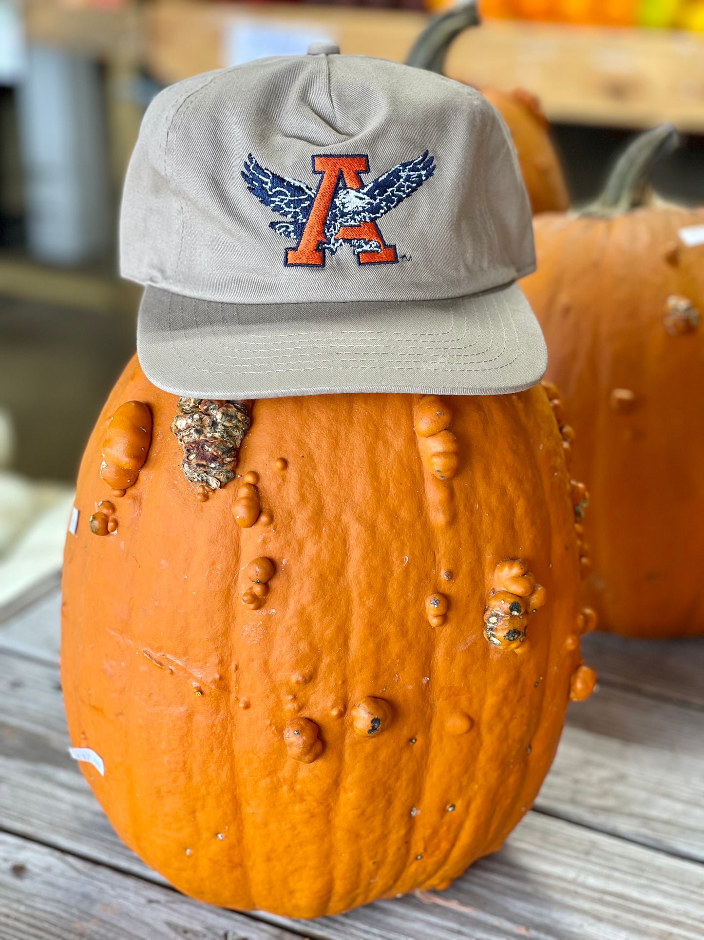 Vintage Auburn Eagle Hat