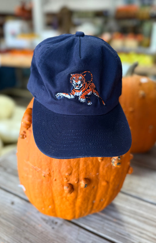 Auburn Tigers Hat