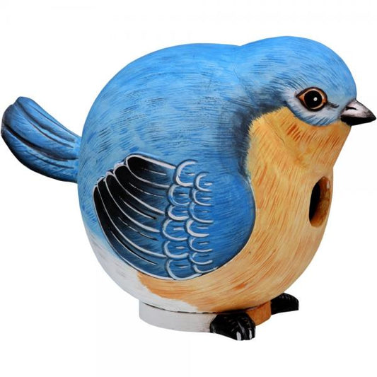 Bluebird Gord-O Bird House