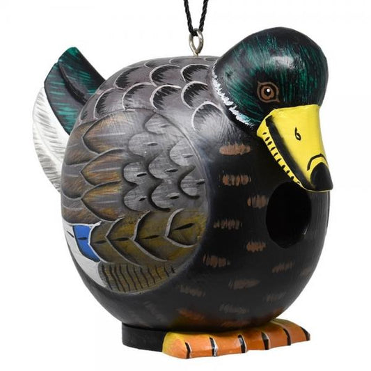 Mallard Duck Gord-O Birdhouse