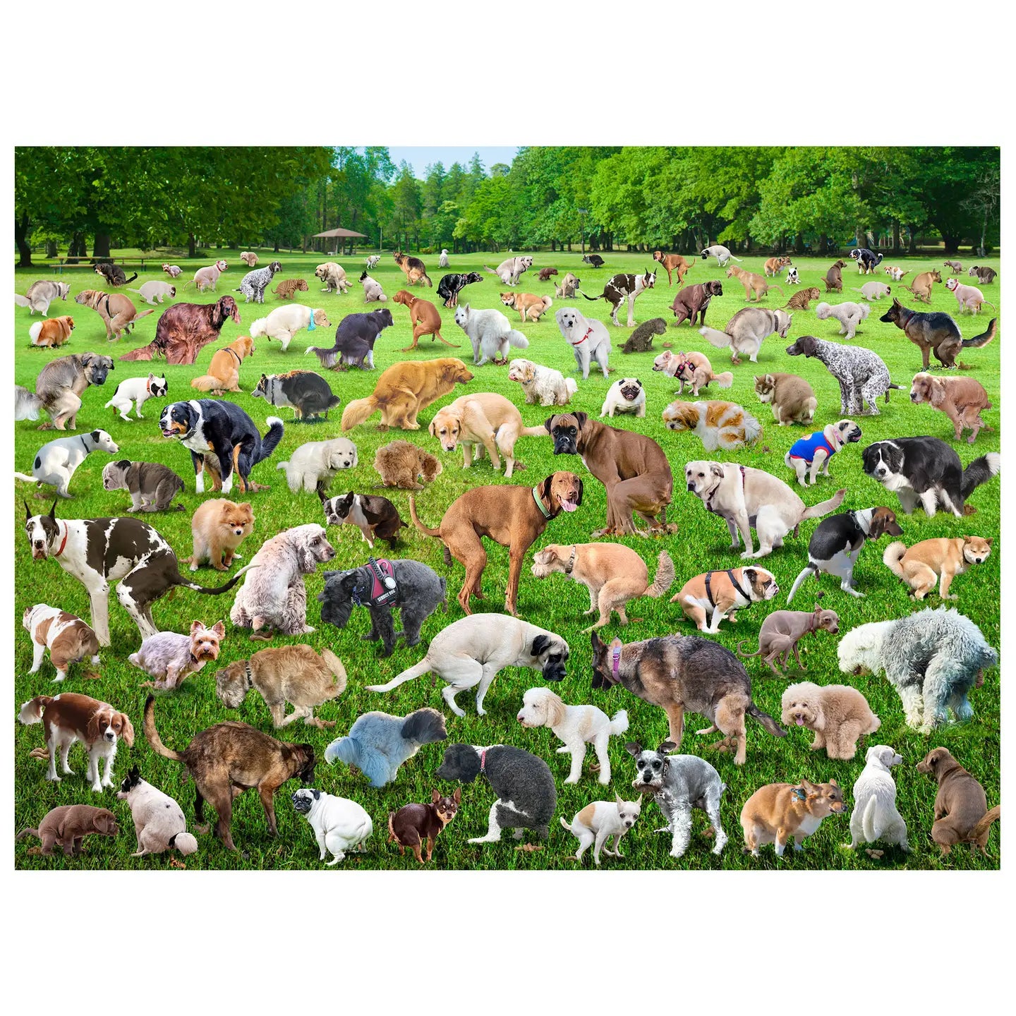 500 Piece Pooping Puppies Puzzle