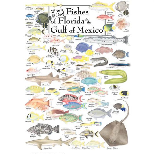 Wreck & Reef Fish of Florida & the Gulf of Mexico Puzzle