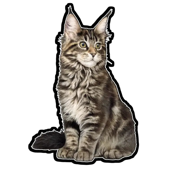 Maine Coon Cat | Sticker