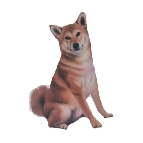 Shiba Inu | Sticker