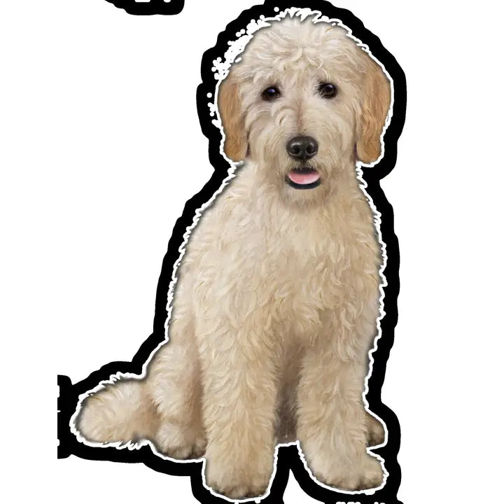 Goldendoodle Sitting | Sticker