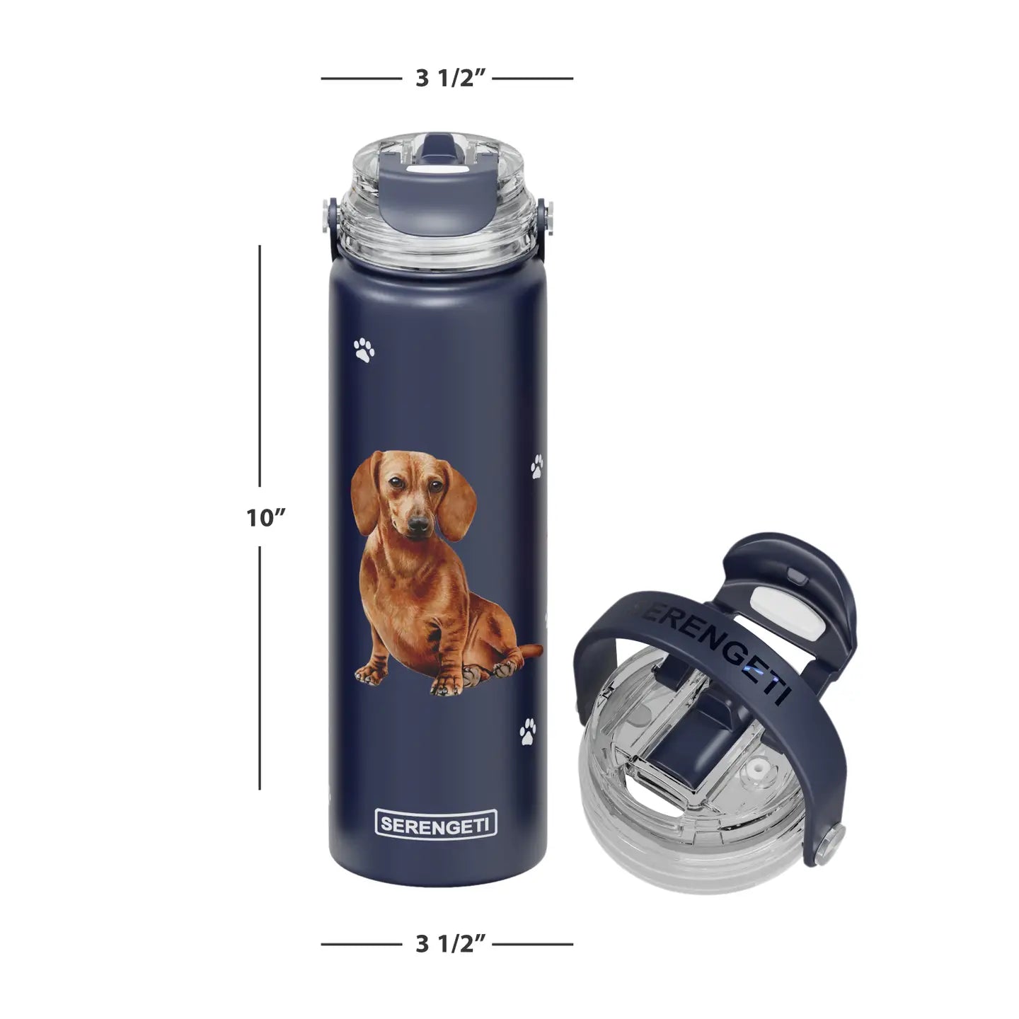 Dachshund | Water Bottle