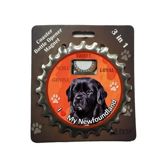 Newfoundland |  3 in 1 Magnetic Coaster