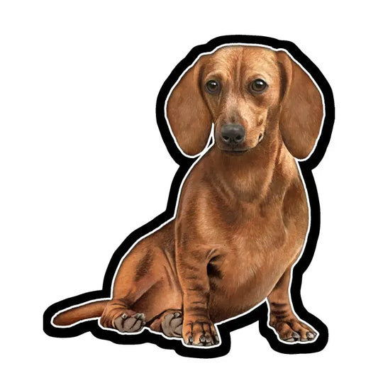 Red Dachshund | Sticker