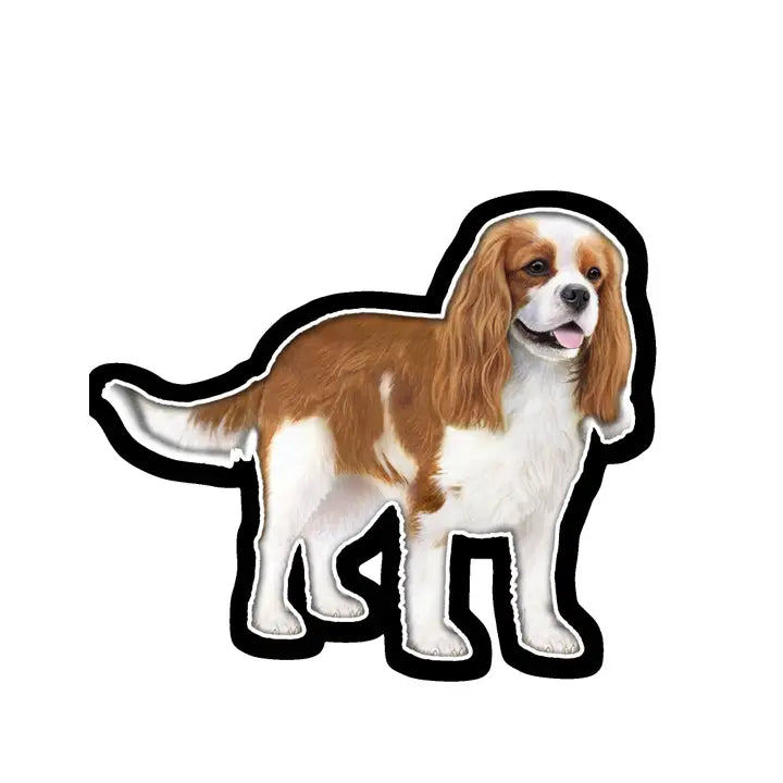 Cavalier King Charles | Sticker