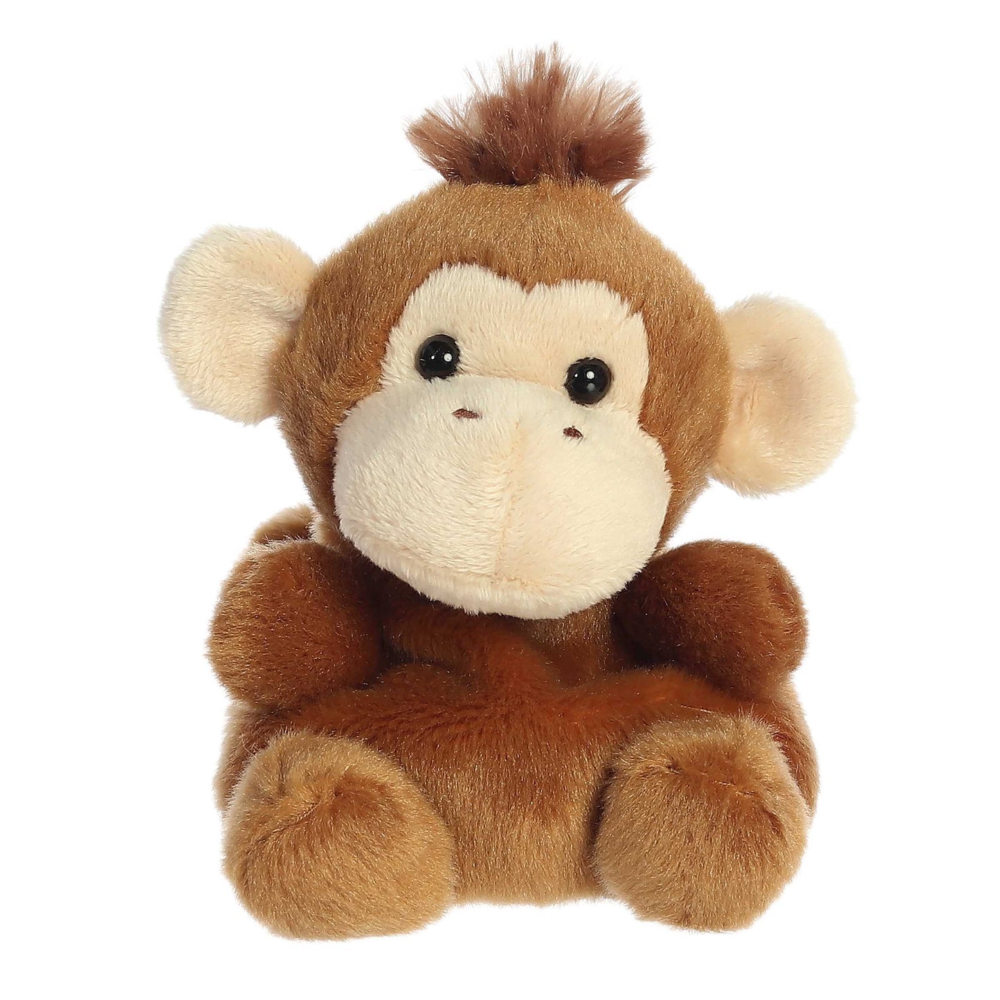 Boomer Monkey Palm Pals