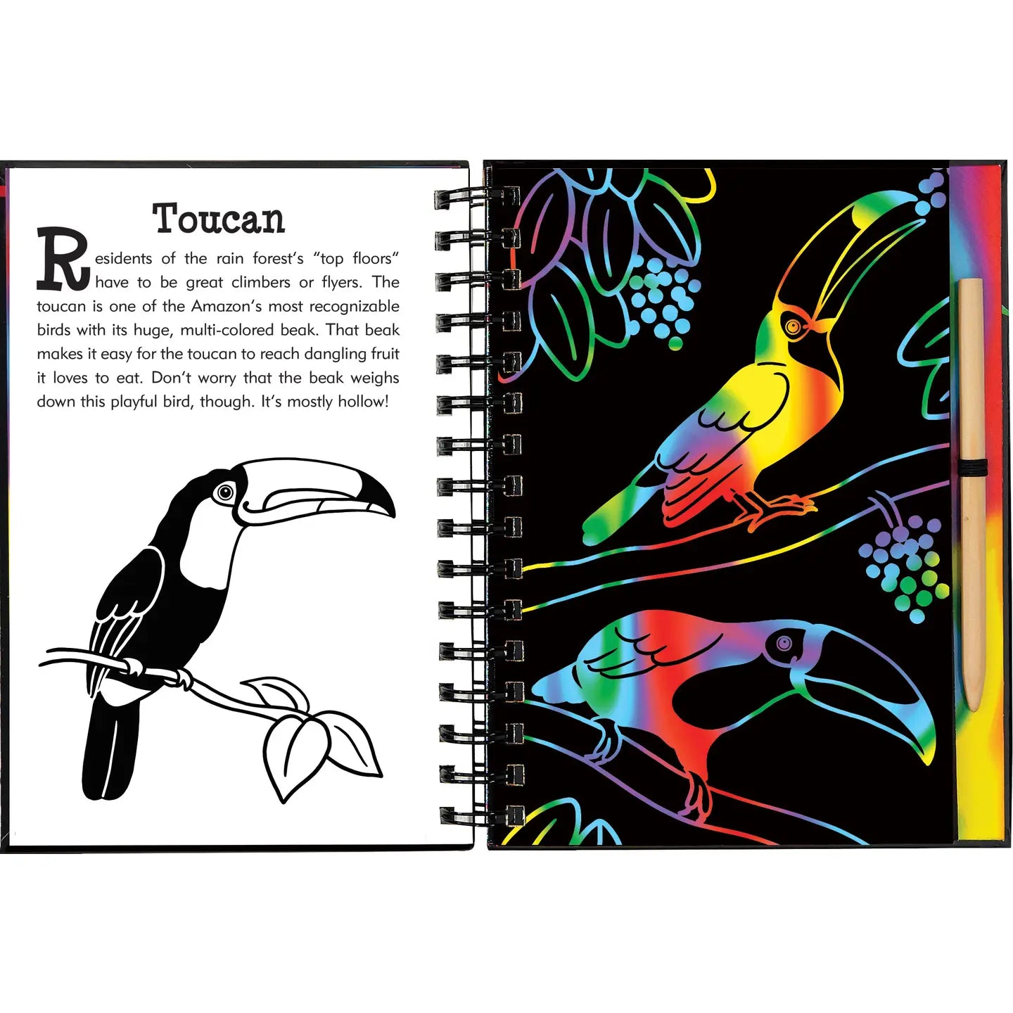 Rain Forest Scratch & Sketch