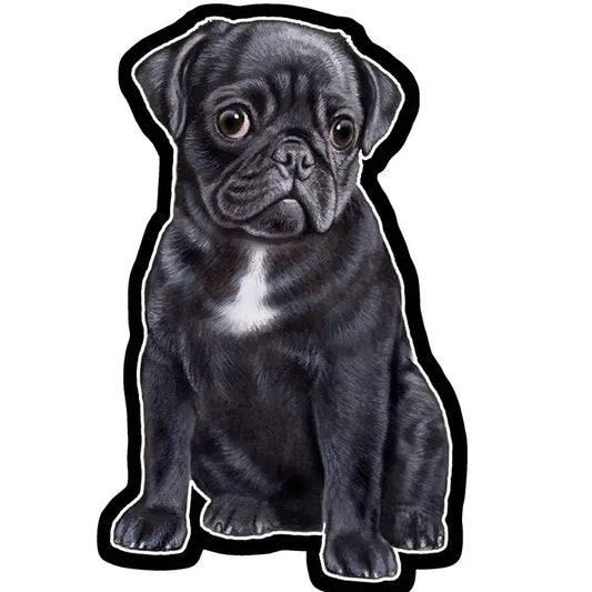 Black Pug | Sticker