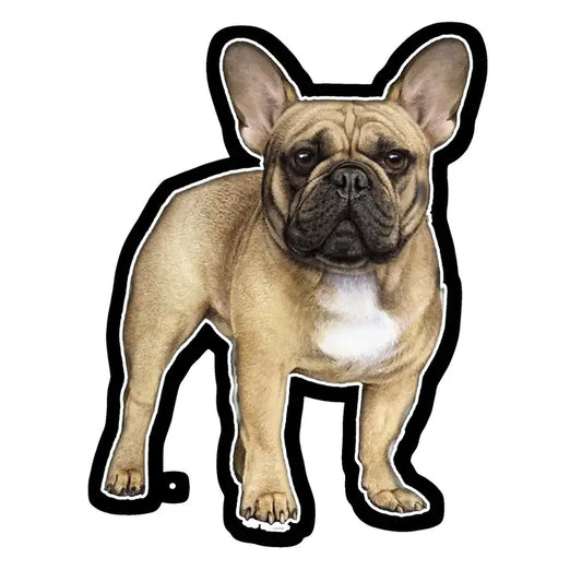 Tan French Bulldog | Sticker