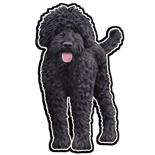 Black Labradoodle | Sticker