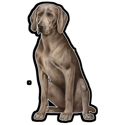 Weimaraner | Sticker